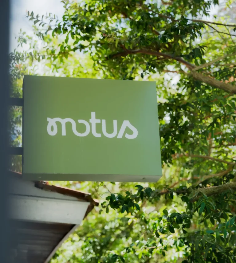 motus branding